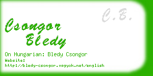 csongor bledy business card